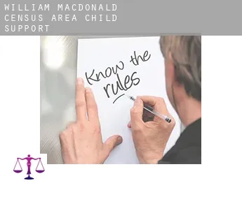 William-MacDonald (census area)  child support