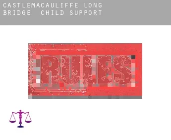 Castlemacauliffe Long Bridge  child support