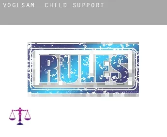 Voglsam  child support