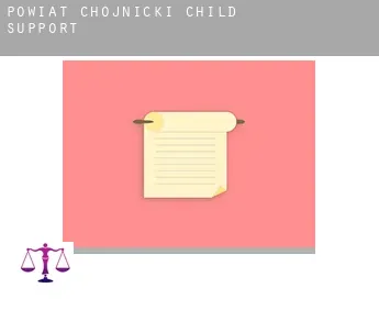 Powiat chojnicki  child support