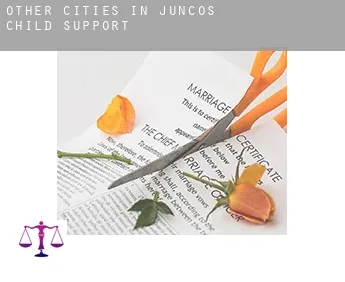 Other cities in Juncos  child support