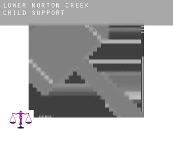 Lower Norton Creek  child support