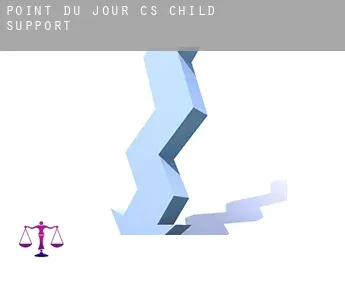 Point-du-Jour (census area)  child support