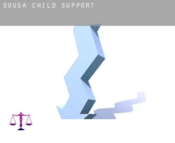 Sousa  child support